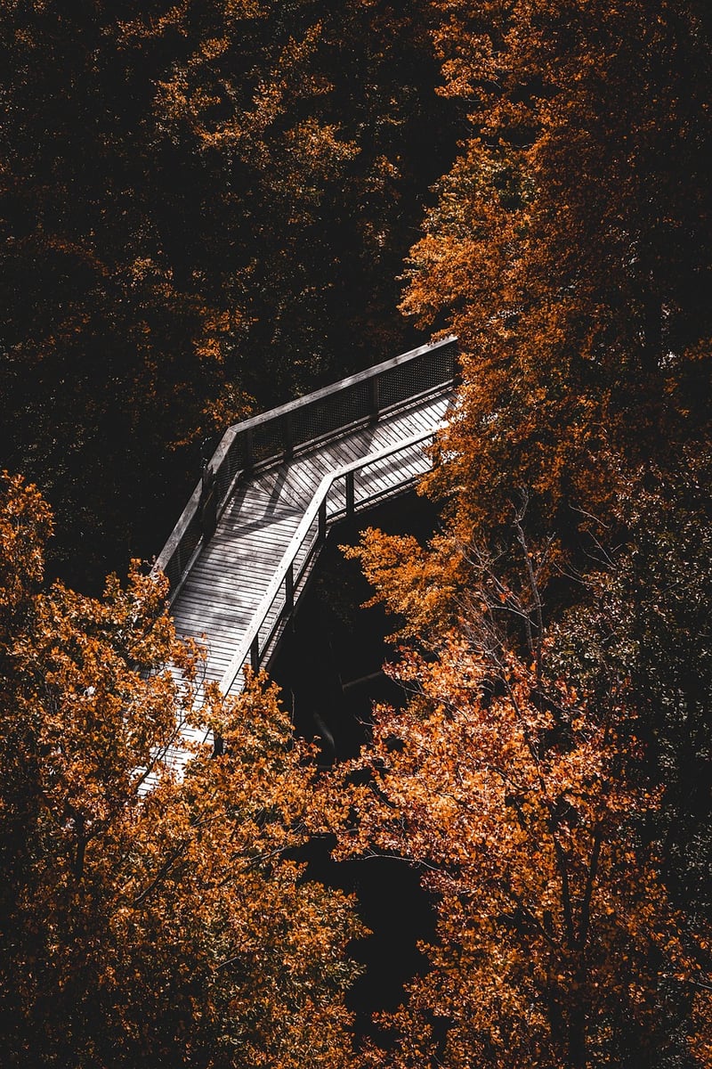 Mindfulness Practice